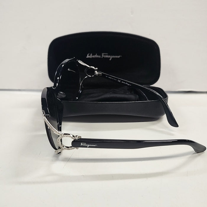 FERRAGAMO Ladies Boutique Sunglasses